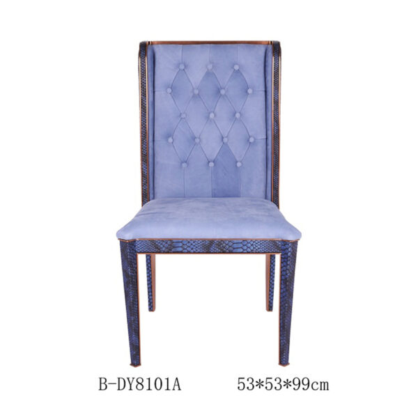 dining chair at dy8101