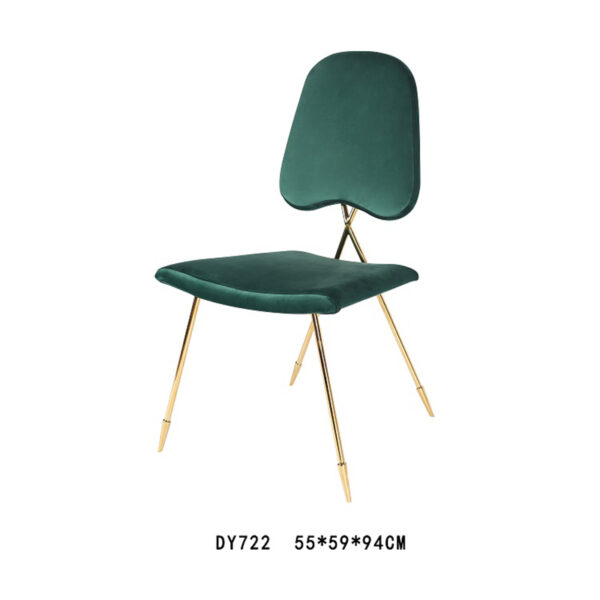 dining chair at dy733