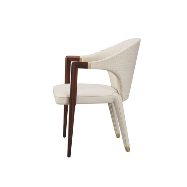 dining chair ar b11